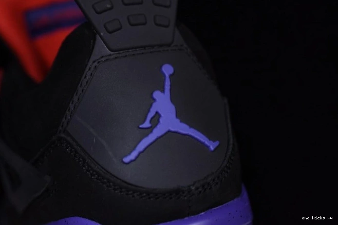 Rep Onekick Jordan Raptors